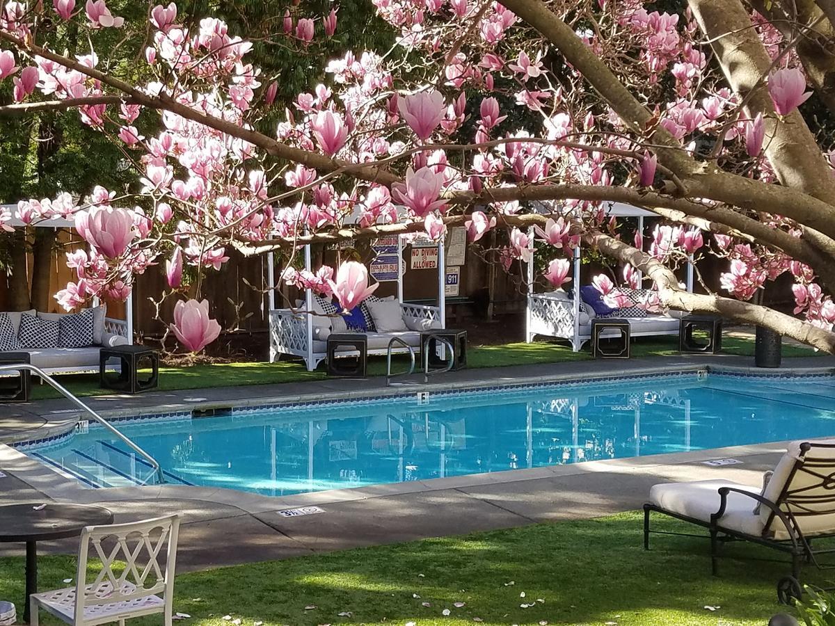 The White House Napa Valley מראה חיצוני תמונה